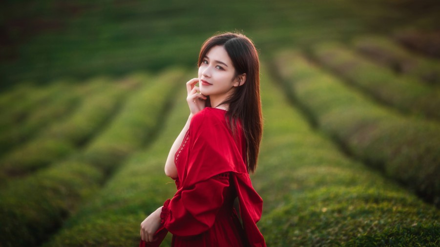 迈步者SEO论坛：引领数字营销的未来新风向