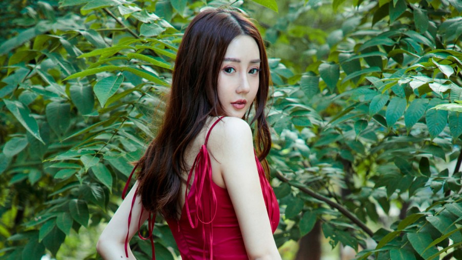 XCSEOSeo 搜索排名优化策略指南
