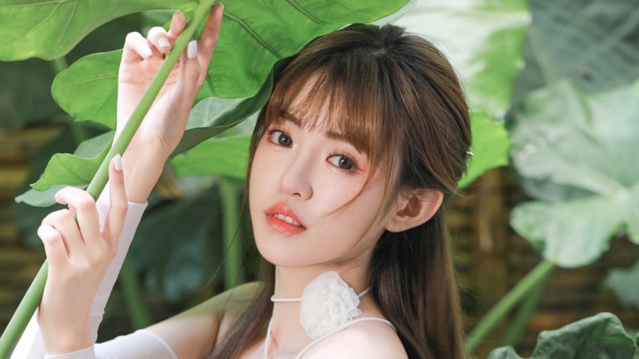 SEO术语解释：提升网站流量的关键指南