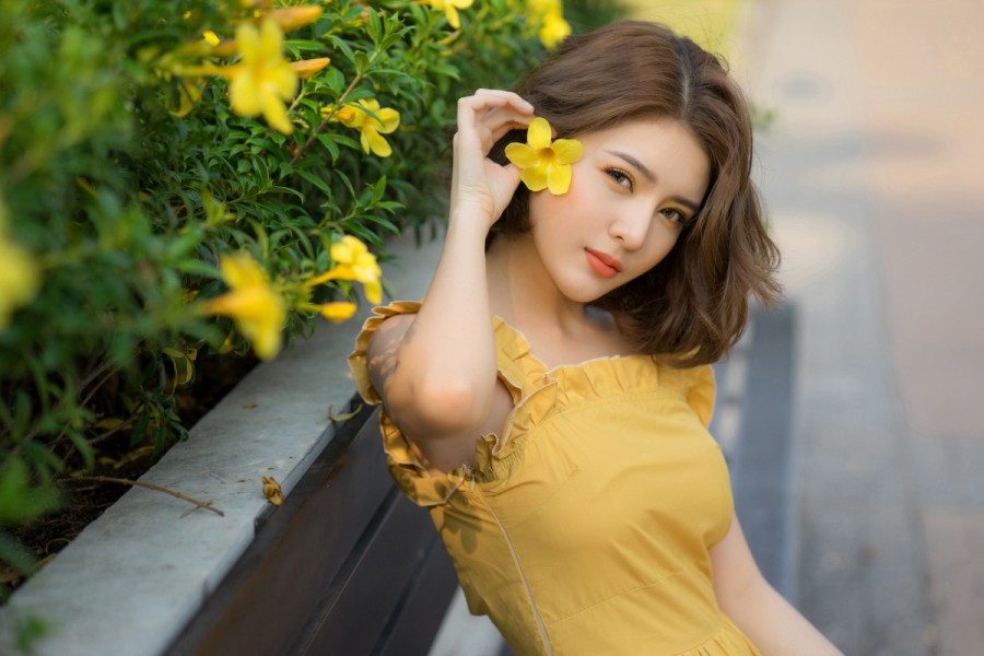 怎么做蜘蛛池