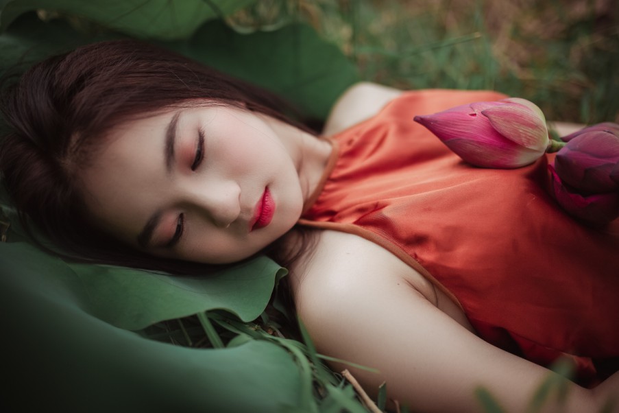 SEOKing：解锁网络营销的无限潜力